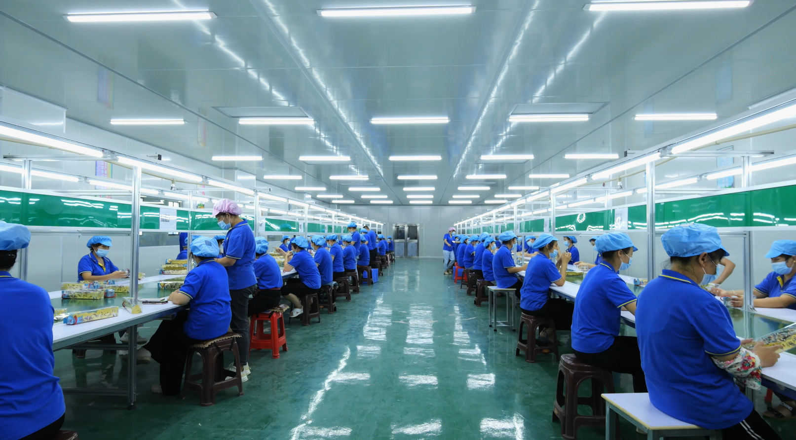 Sichuan Factory Product Line